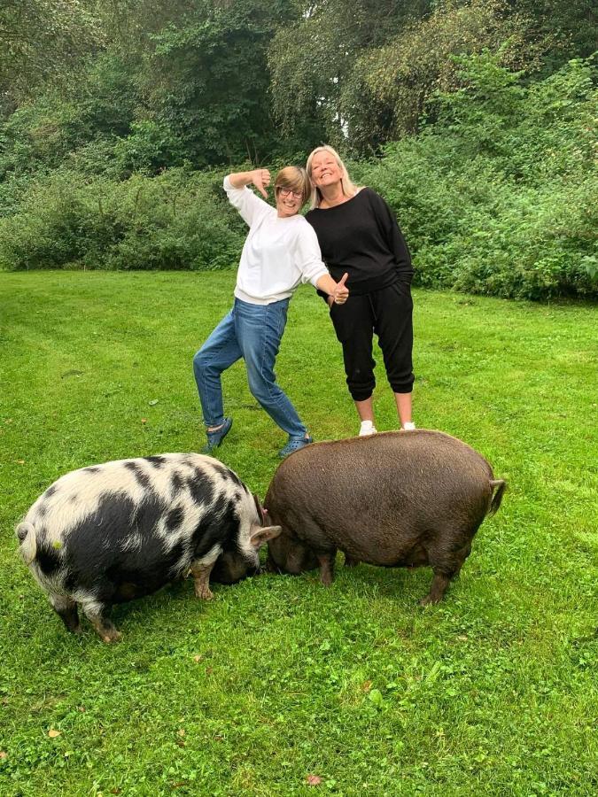 グレート・ヤーマス Starry Meadow & Rescued Animal Experiencesヴィラ エクステリア 写真