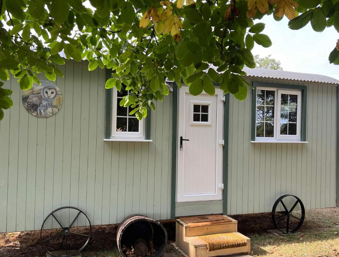 グレート・ヤーマス Starry Meadow & Rescued Animal Experiencesヴィラ 部屋 写真